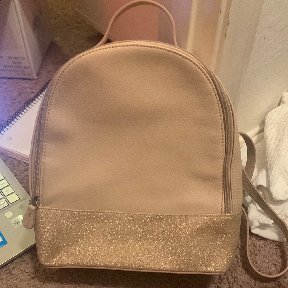 express mini backpack